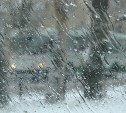 Погода в Туле 27 марта: снег с дождем, ветер и до +6 градусов