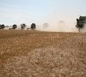 Россия побила свой рекорд экспорта зерна