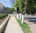 В Туле появятся технические тротуары 