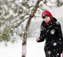 Погода в Туле 20 января: до -8 градусов, пониженное давление и снег