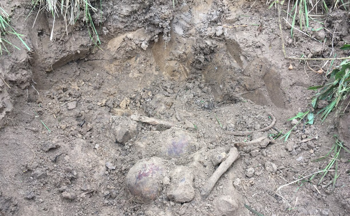 В Тульской области обнаружили останки пятерых солдат вермахта