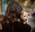 В Белоусовском парке пройдёт благотворительный фестиваль помощи животным