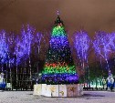 Как Центральный парк украсили к Новому году
