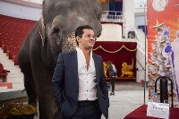 Тульский цирк анонсировал Шоу слонов, Фото: 9