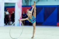 Тула провела крупный турнир по художественной гимнастике, Фото: 144