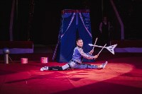 «Шоу Слонов» в Тульском цирке, Фото: 16