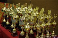 Представительный турнир по греко-римской борьбе. 16 ноября 2013, Фото: 3