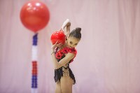 Всероссийский турнир по художественной гимнастике, Фото: 100