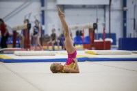 Спортивная гимнастика в Туле 3.12, Фото: 104