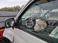 Крупная авария с семью пострадавшими на трассе М 2 в Тульской области, Фото: 10