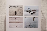 «#Будни» Тулы в объективе Алексея Фокина: В ТИАМ открылась фотовыставка, Фото: 1