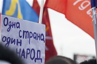 В Туле проходит митинг в поддержку Крыма, Фото: 35