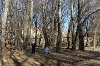 Рогожинский парк., Фото: 3