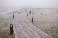 Туман в Туле, Фото: 16