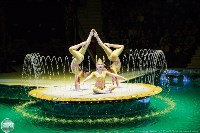 Цирк на воде «Остров сокровищ» в Туле: Здесь невозможное становится возможным, Фото: 20
