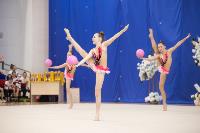Соревнования по художественной гимнастике на призы благотворительного фонда «Земляки», Фото: 62