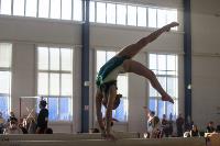 Первенство ЦФО по спортивной гимнастике среди  юниоров, Фото: 76