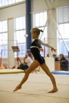 Спортивная гимнастика в Туле 3.12, Фото: 76