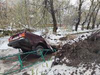В Туле упавшее дерево переломило ВАЗ и повредило еще три авто, Фото: 2