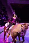 Успейте посмотреть шоу «Новогодние приключения домовенка Кузи» в Тульском цирке, Фото: 74