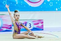 Тула провела крупный турнир по художественной гимнастике, Фото: 139