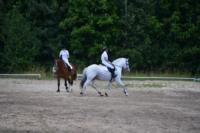 В Ясной поляне стартовал турнир по конному спорту, Фото: 135