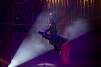 Шоу фонтанов «13 месяцев» в Тульском цирке – подарите себе и близким путевку в сказку!, Фото: 3