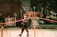 "Чудеса под Новый год" в Тульском цирке, Фото: 59