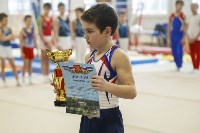Спортивная гимнастика в Туле 3.12, Фото: 52