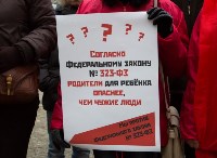 Митинг против закона "о шлепкАх", Фото: 1
