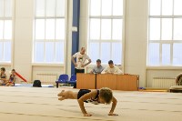 Спортивная гимнастика в Туле 3.12, Фото: 25