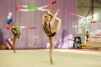 Всероссийские соревнования по художественной гимнастике на призы Посевиной, Фото: 96