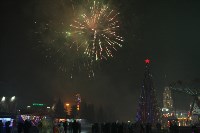 Открытие главной ёлки на площади Ленина, Фото: 62