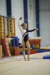 Спортивная гимнастика в Туле 3.12, Фото: 86