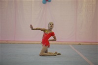 IX Всероссийский турнир по художественной гимнастике «Старая Тула», Фото: 42