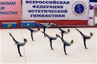 Соревнования по эстетической гимнастике «Кубок Роксэт», Фото: 28