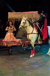 Цирк «Вива, Зорро!» в Туле , Фото: 70