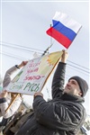 Митинг в Туле в поддержку Крыма, Фото: 43