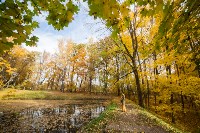 Золотая осень в Ясной Поляне, Фото: 78