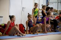 Спортивная гимнастика в Туле 3.12, Фото: 135