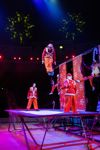 Успейте посмотреть шоу «Новогодние приключения домовенка Кузи» в Тульском цирке, Фото: 84