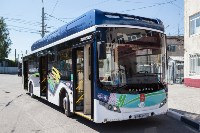 Электробус может заменить в Туле троллейбусы и автобусы, Фото: 13