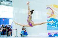Тула провела крупный турнир по художественной гимнастике, Фото: 172
