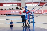 В Тульской области проходит областное первенство по боксу, Фото: 17