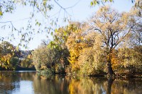Золотая осень в Ясной Поляне, Фото: 67