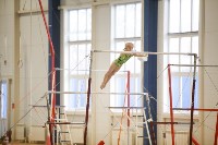 Спортивная гимнастика в Туле 3.12, Фото: 159