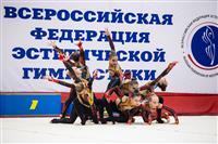 Соревнования по эстетической гимнастике «Кубок Роксэт», Фото: 152