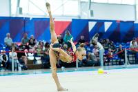 Тула провела крупный турнир по художественной гимнастике, Фото: 182