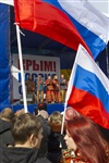 Митинг в Туле в поддержку Крыма, Фото: 50