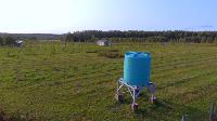 Виноград с южных склонов Дубны: как работает необычная семейная ферма в Тульской области, Фото: 31